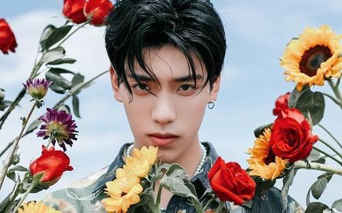 王子异拜记者是怎么回事 记者问王子异为什么要拜我始末介绍