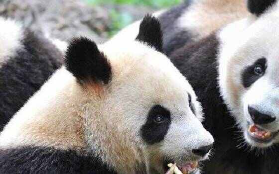 中国十大风景名胜区有哪些