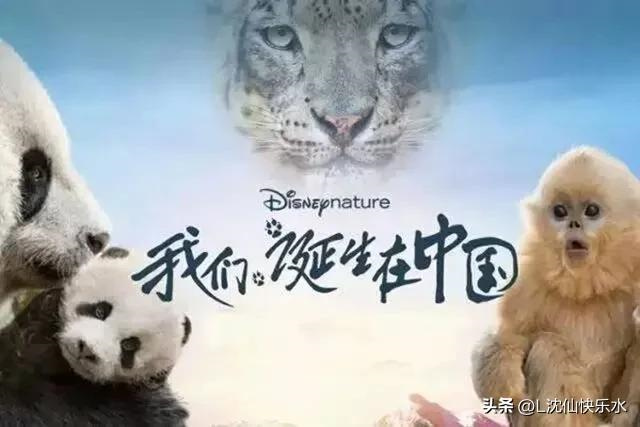十部教科书级别的国产儿童电影(十部教育孩子推荐的电影）
