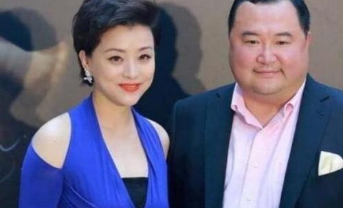 杨澜老公吴征个人资料