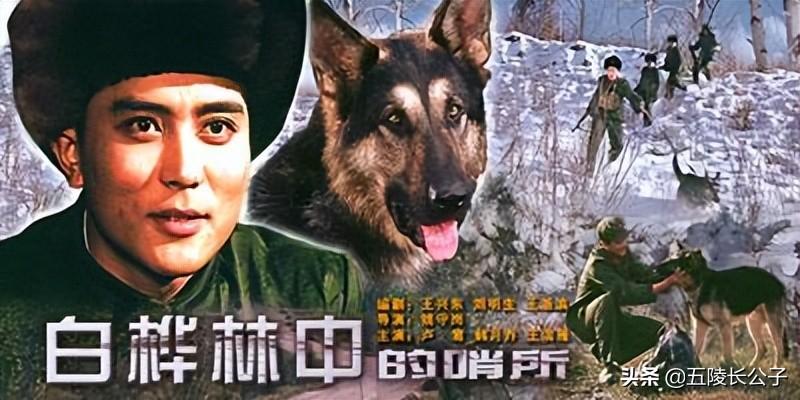 70到80年代经典老电影