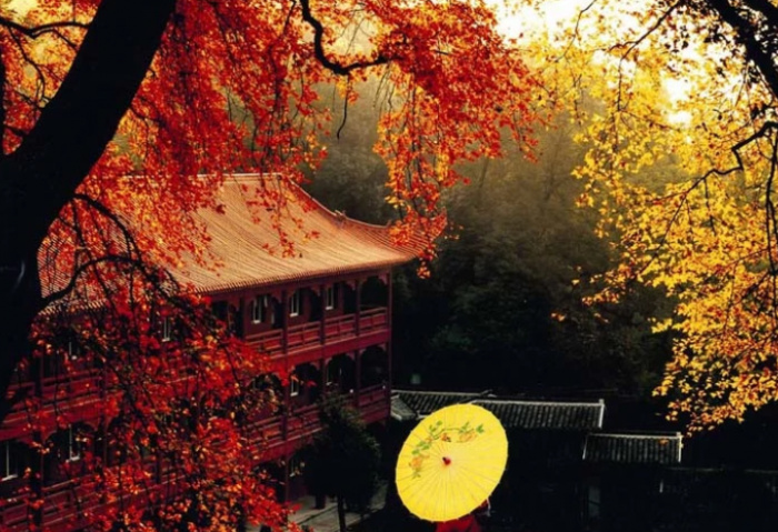 常德十大旅游景点