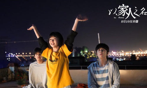 以家人之名剧情,以家人之名电视剧结局