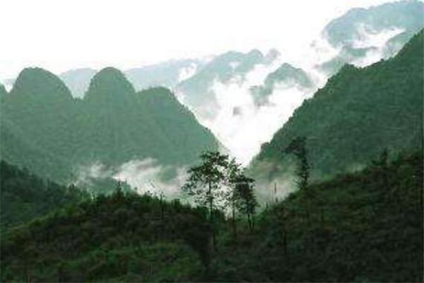 来宾市有什么好玩的景点