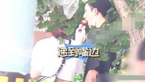 王鹤棣新恋情,王鹤棣女友,王鹤棣最新消息