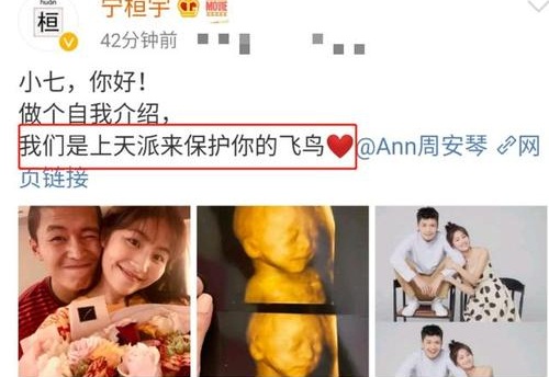 宁桓宇当爸,宁桓宇老婆,宁桓宇微博