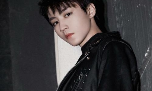 王俊凯单曲封面设计师否认抄袭 王俊凯的新单曲详情介绍