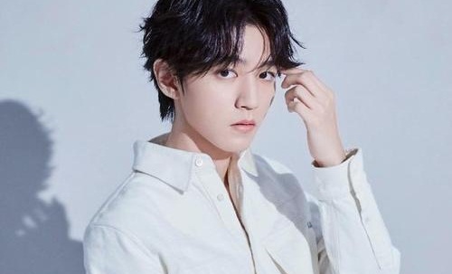 王俊凯单曲封面设计师否认抄袭,王俊凯新单曲