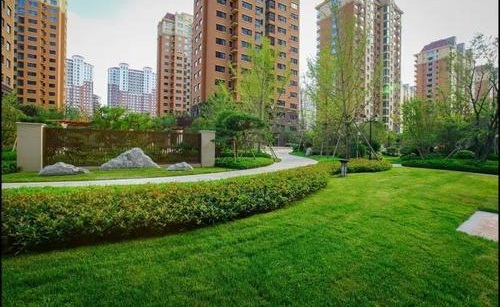 物业回应给草坪喷绿漆是什么原因 物业给草坪喷漆事件始末介绍