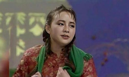 宋丹丹正式退休,宋丹丹退休原因,宋丹丹最新消息