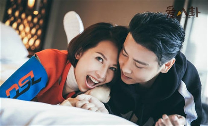张晋和蔡少芬的爱情故事 张晋为什么那么爱蔡少芬