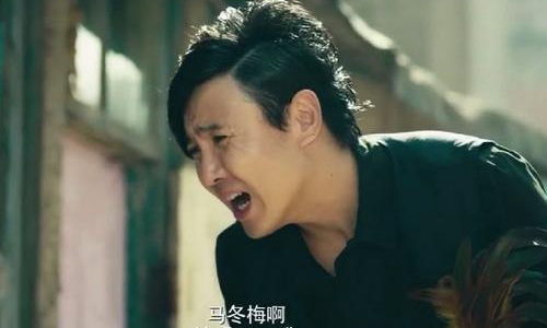 我和我的家乡票房,沈腾马丽再合作
