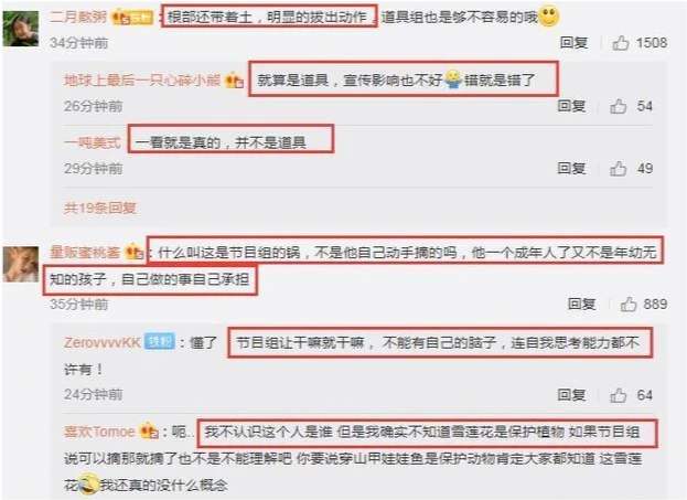 极限挑战,国家二级保护植物,刘宇宁