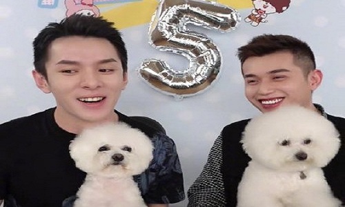 付鹏告别李佳琦选品团队 付鹏为什么不做小助理了