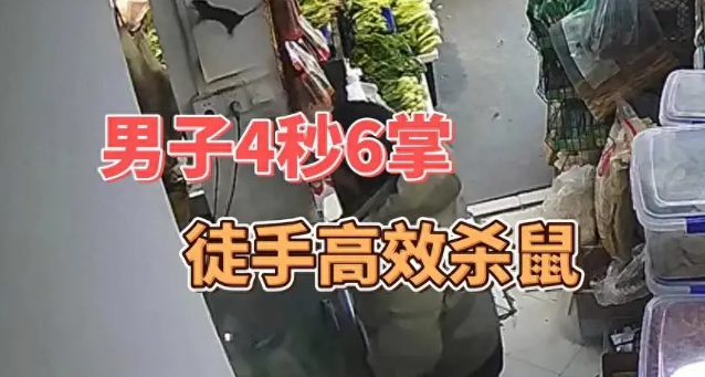 男子4秒连拍6掌徒手摔死老鼠,用自己的方式创造奇迹
