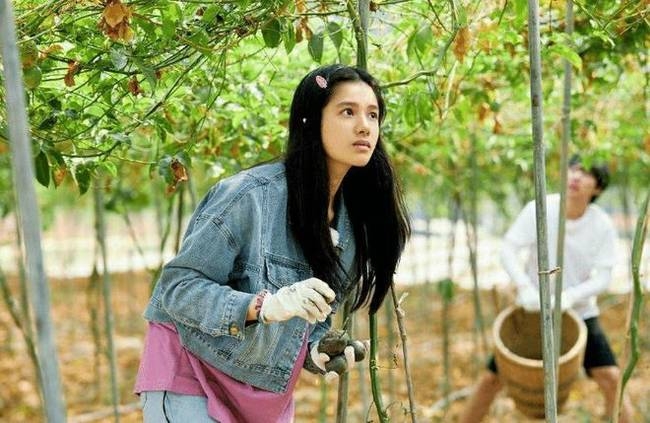 陈星旭张婧仪恋情曝光,陈星旭张婧仪一见倾心