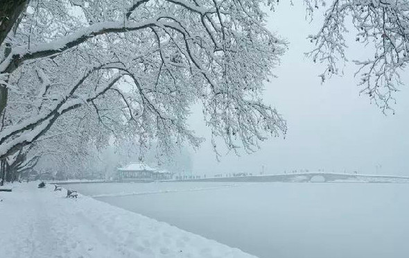 南方多地开启暴雪模式