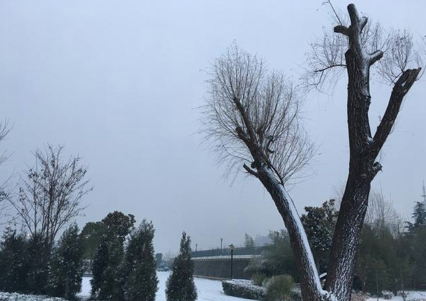 南方多地开启暴雪模式
