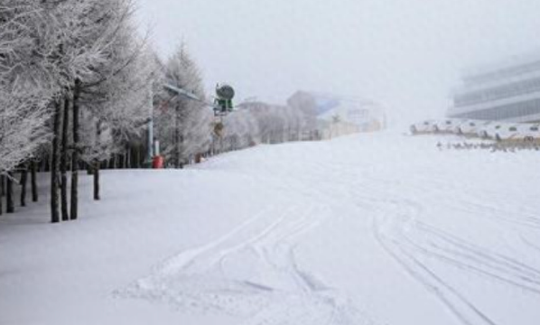 雪后世界变成巨大的滑雪场,解锁了冬季新玩法