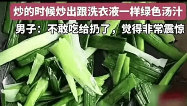 男子买韭菜炒出像洗衣液绿色汤汁,网友:韭菜都已经这样了吗