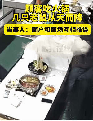 男子吃火锅被“天降”老鼠抓破头,网友隔着屏幕都感到害怕