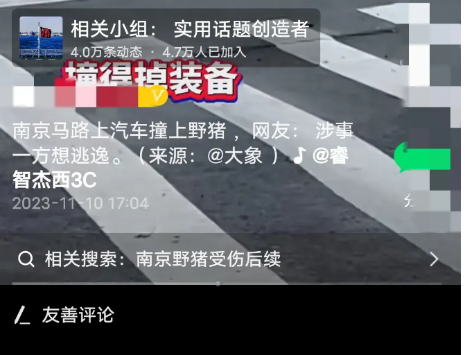 市民驾车与野猪相撞被判全责,网友调侃道：猪没事儿就好，毕竟它们也是无辜的