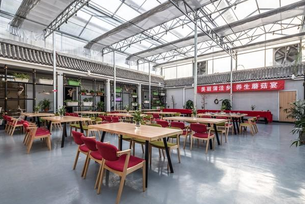 年轻人“蹭老式”消费:性价比高,社区食堂两荤两素两份主食仅花费了33元