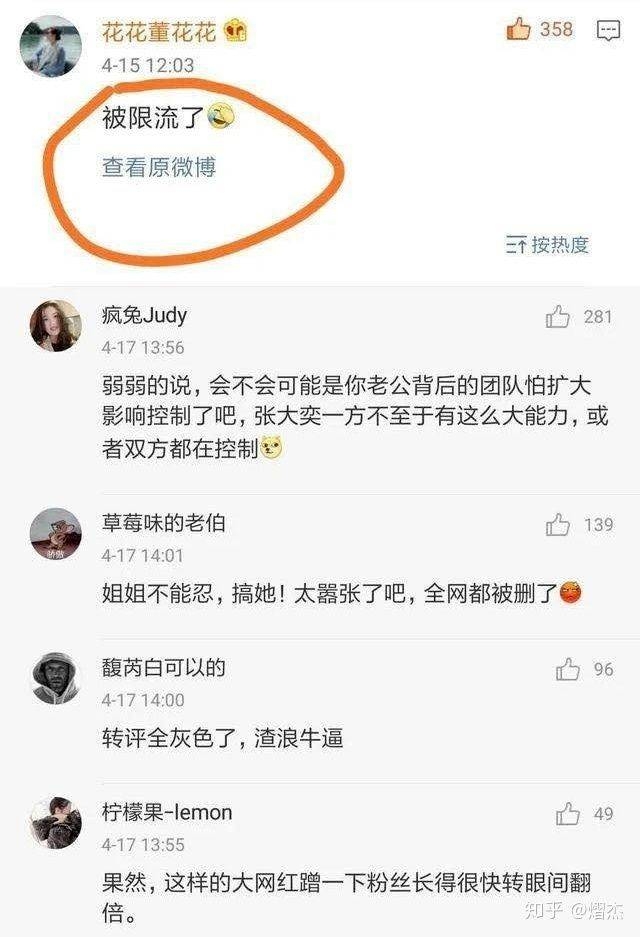 蒋凡事件,蒋凡张大奕