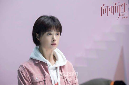 《向阳而生》首播收视第一 蒋欣演技感动众人详情