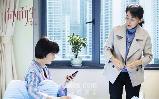 向阳而生电视剧,向阳而生电视剧演员表