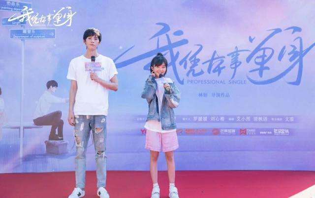 我凭本事单身电视剧,我凭本事单身小说