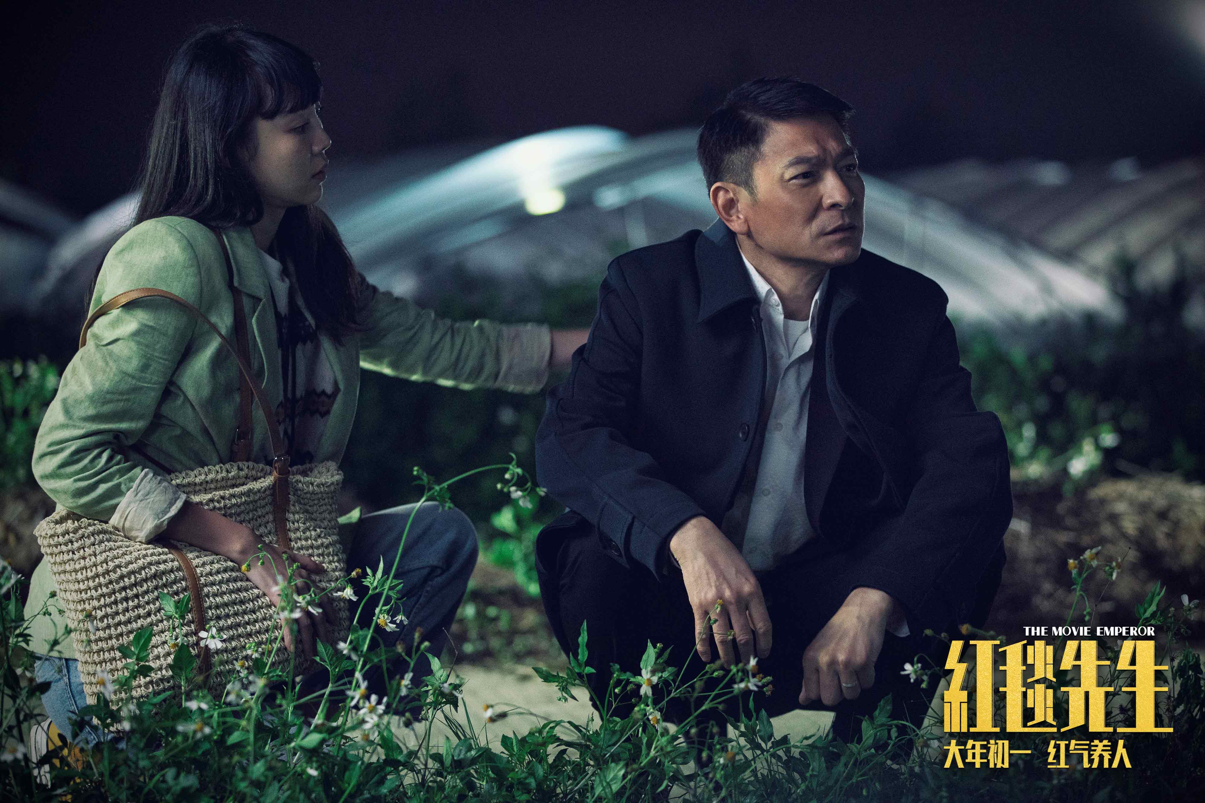 《红毯先生》刘德华上演“天王下乡记”