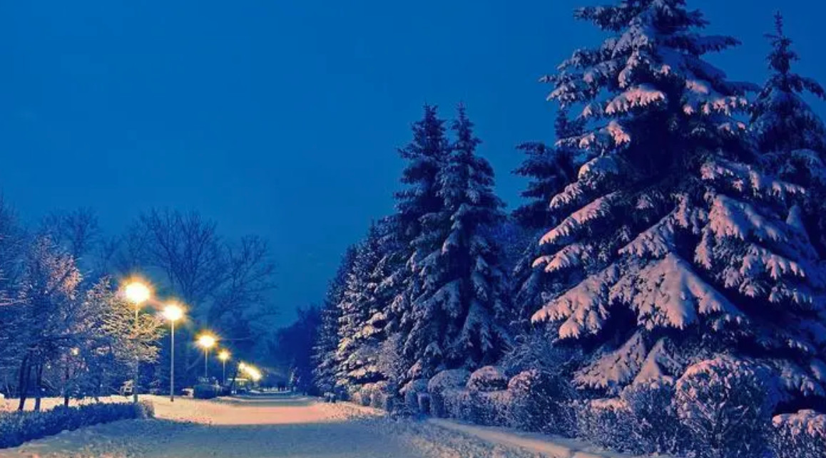下雪高铁会停运吗