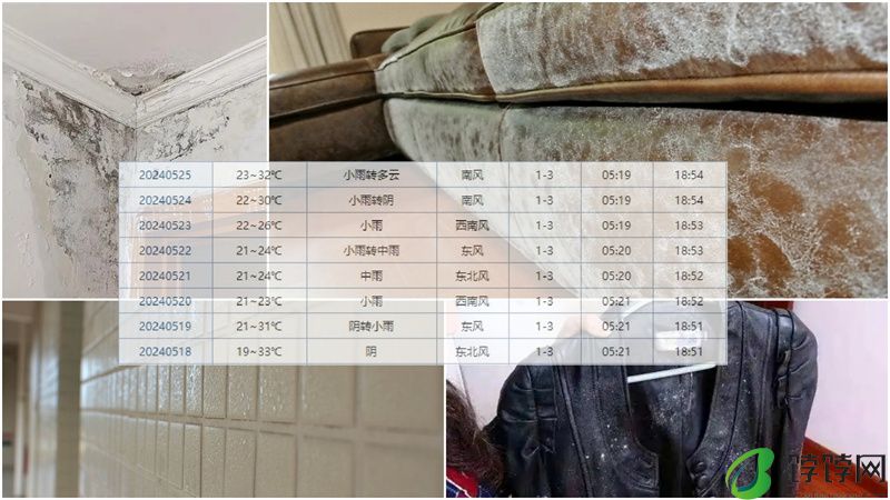 潮湿环境的克星！中小型库管福音！德业工业除湿机DY 8138C