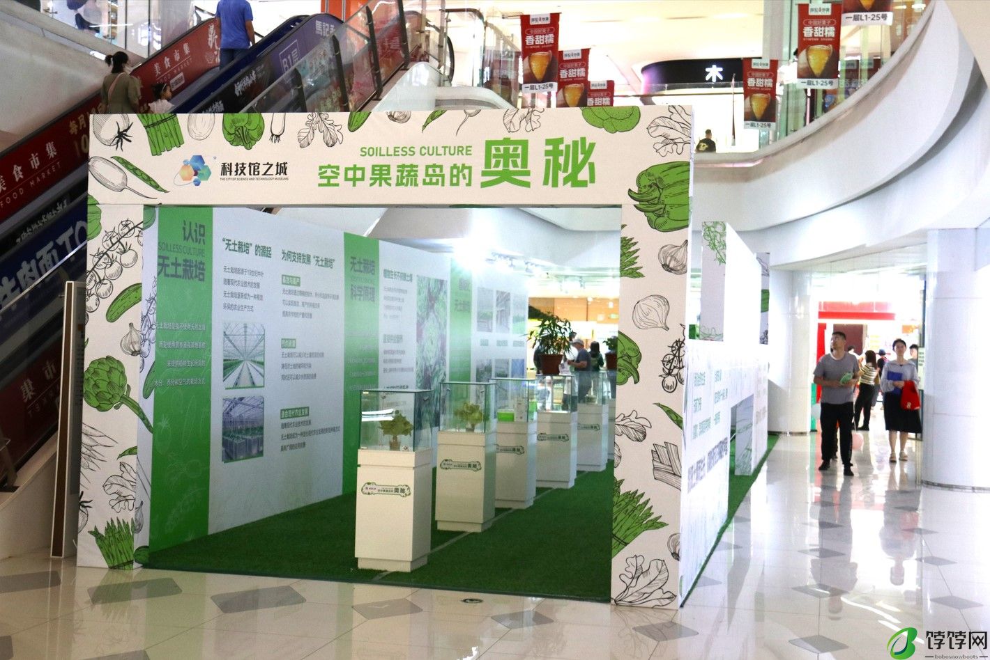 北京科技馆之城“空中果蔬岛的奥秘”沉浸式无土栽培科普新体验