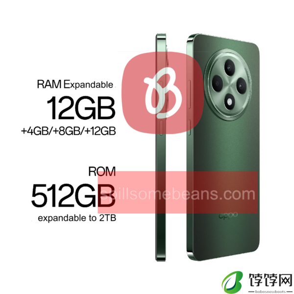 OPPOReno12FS参数配置