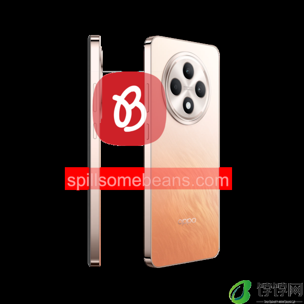 OPPOReno12FS参数配置