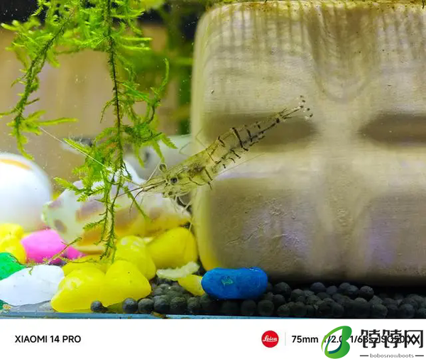 小米14pro值得买吗-小米14pro测评优缺点