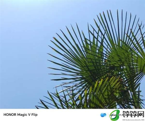 荣耀MagicVFlip影像评测