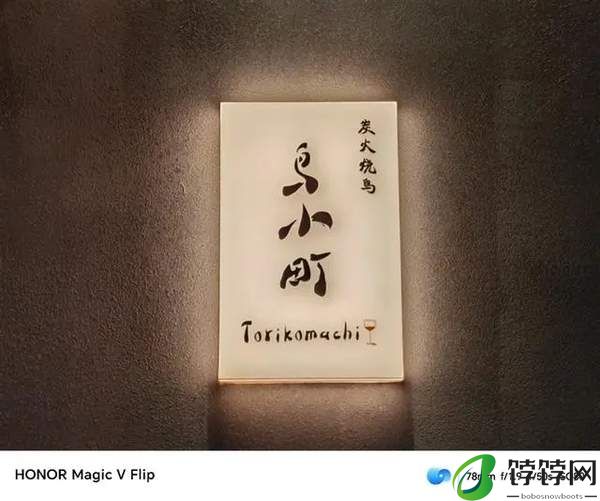 荣耀MagicVFlip影像评测