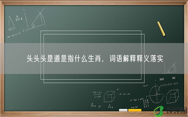 头头头是道是指什么生肖，词语解释释义落实
