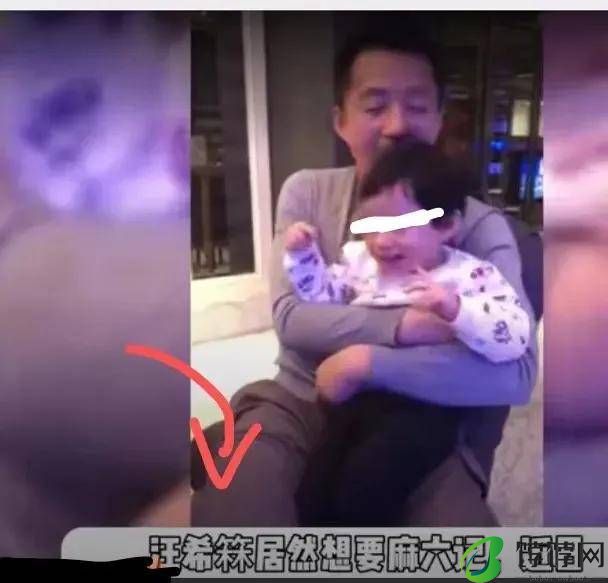 大S儿子喊着要继承麻六记，女儿让汪小菲买房子，网友说大S有心机-月光资讯网