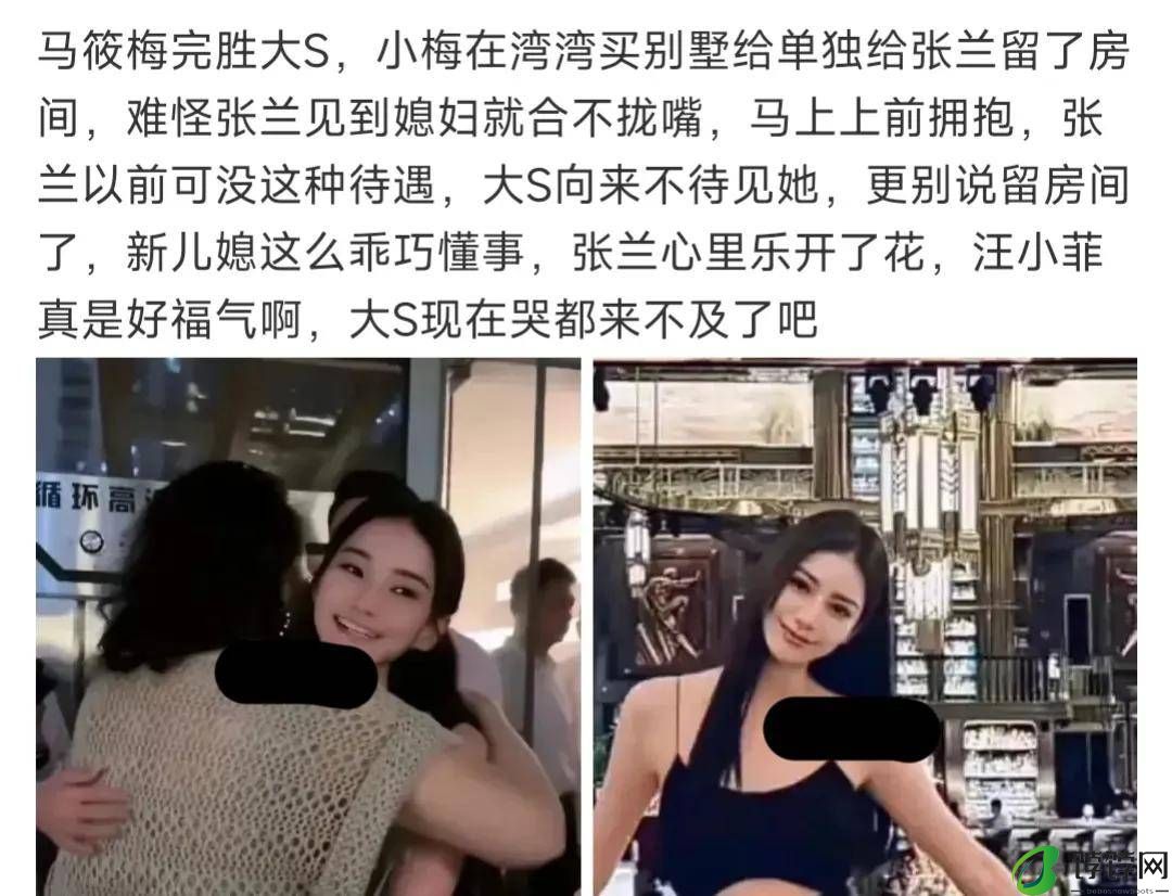 大S儿子喊着要继承麻六记，女儿让汪小菲买房子，网友说大S有心机-月光资讯网