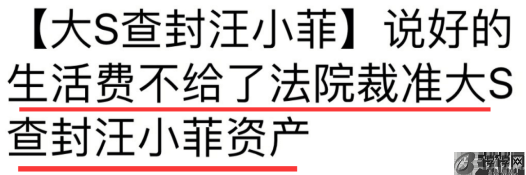 大S让俩孩子回汪小菲家继承财产？张兰为新儿媳做饭，她却经济出问题被小S嫌弃-月光资讯网