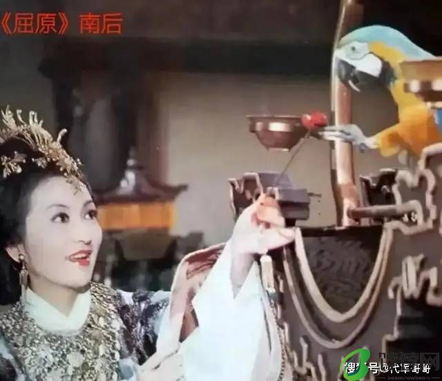 出生于名门望族，出道即巅峰，父亲却不支持她，终生不看她的戏-月光资讯网