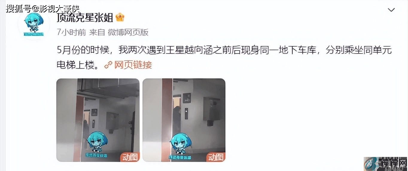 上升期被曝恋情？王星越向涵之再被曝恋情！两人同进一单元楼-月光资讯网