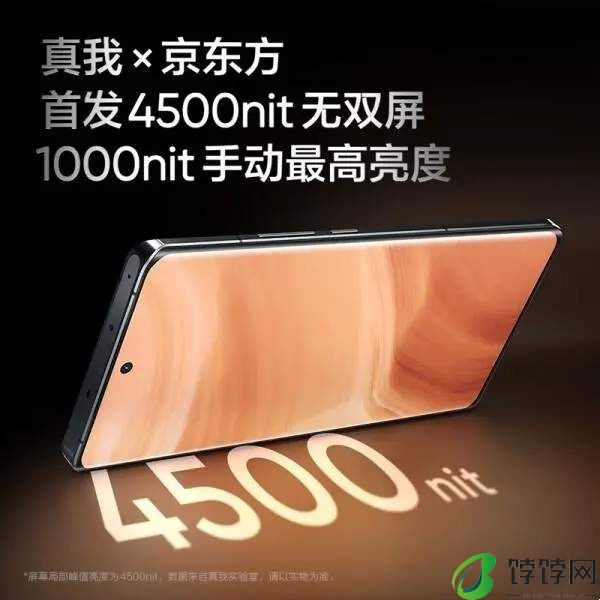 iqoo12和真我gt5pro对比