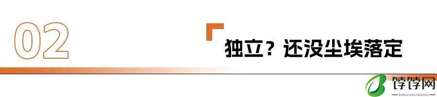 智驾供应商：闷声发大财？