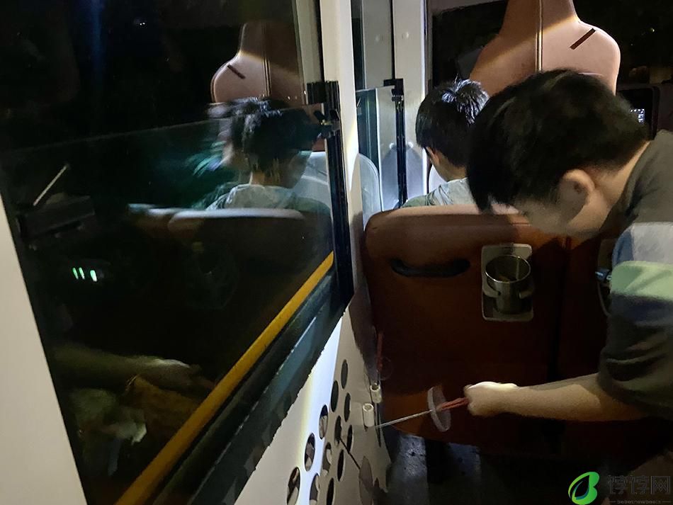 夜探猛兽是怎样的体验？上海野生动物园7月1日起首次全面开放夜场
