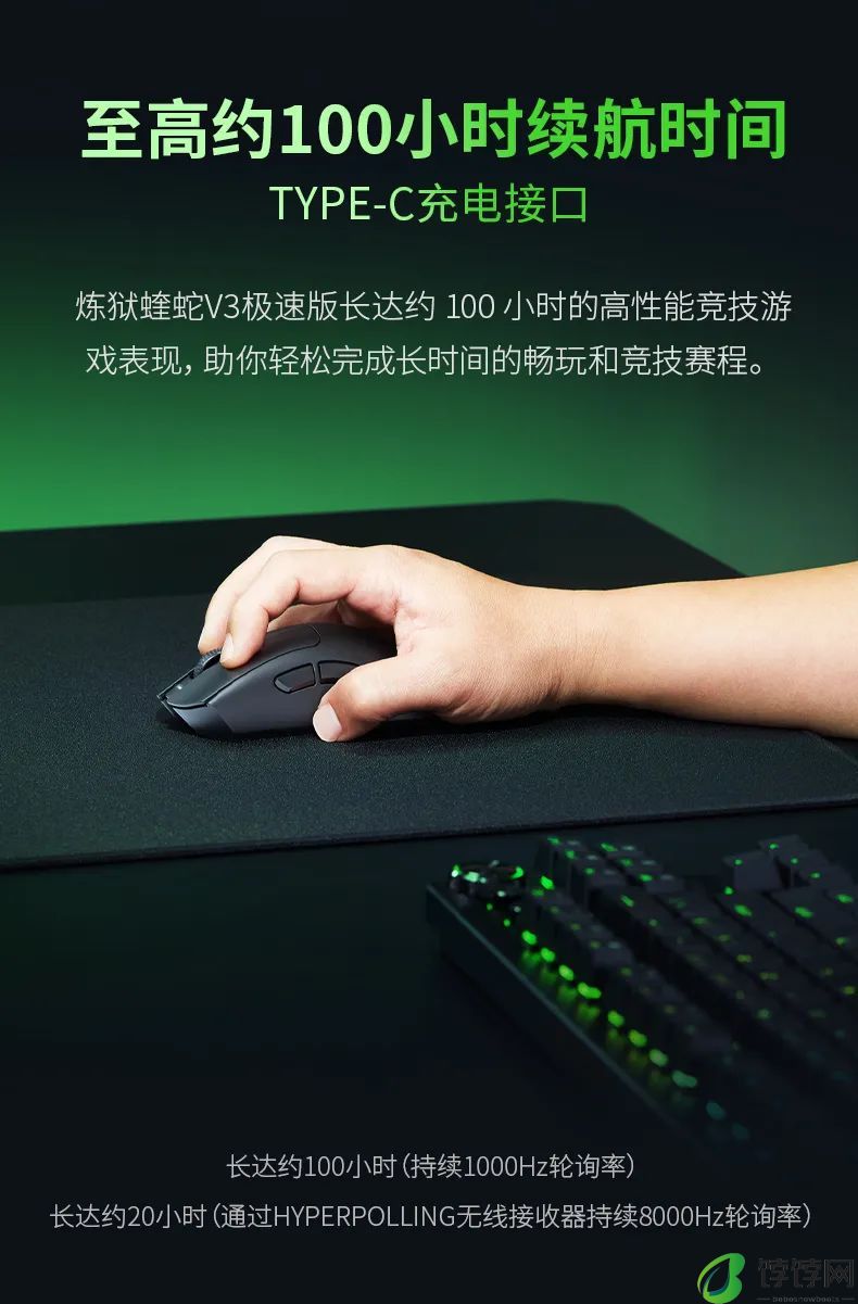 雷蛇炼狱蝰蛇 V3 极速版鼠标发布：重 55g、最高 8000Hz 轮询率，售价 799 元